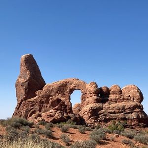 Meet your Posher, Laurie